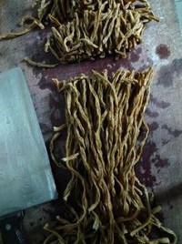 ���Ƹɶ������������ͼƬ����4