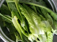 ����ݫ��������ͼƬ����2