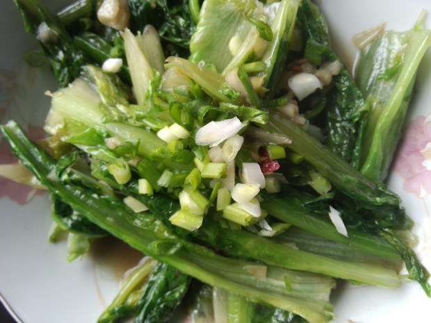 ����ݫ��������