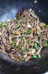 �ɿ��������ͼƬ����10