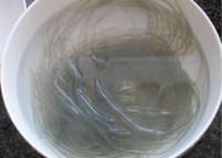 �ײ˷�����Ϻ�ҵ�����ͼƬ����3