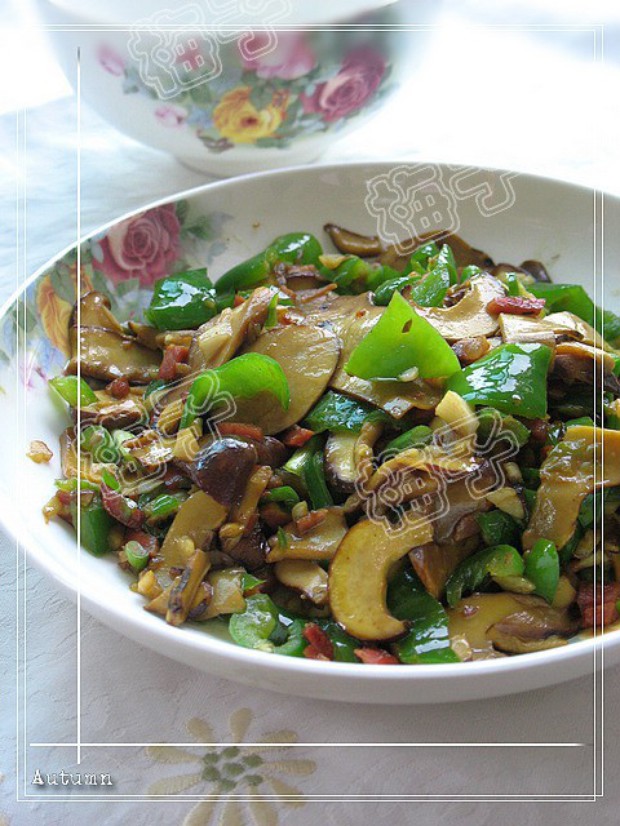 ���ȳ�ţ�ξ�������