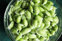 �̲�ë����ɽҩ������ͼƬ����1