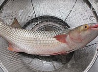 ���Ƴ������������ͼƬ����1