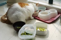 ������˵�����ͼƬ����8