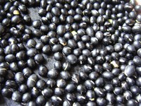 ���Һڶ�������������ͼƬ����3