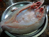 �ҳ����������ͼƬ����1