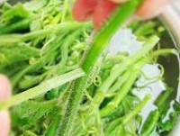 �峴�Ϲ��ٵ�����ͼƬ����2