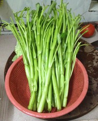 ����ͨ�˹�������ͼƬ����1