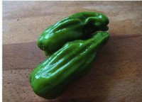 �������Źǵ�����ͼƬ����3