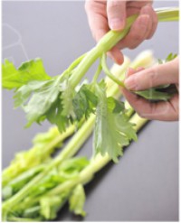 �۲˳�����������ͼƬ����2