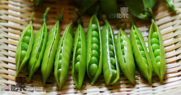 ��ˮ���㶹�Ե�����,��ô��,��ˮ���㶹��������ó���ϸ����ͼ�������