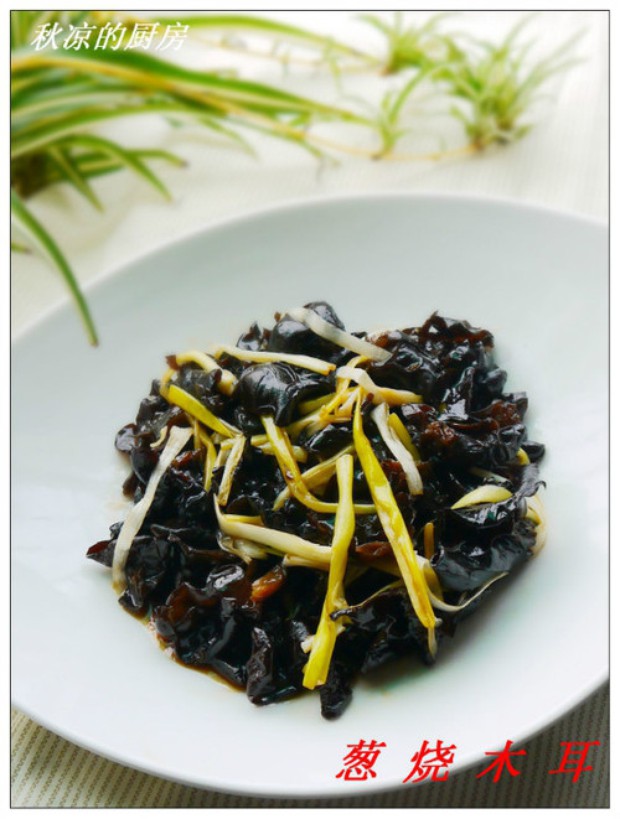 �ϰ���Ӫ���� ����ľ��������,��ô��,����ľ��������ó���ϸ����ͼ�������