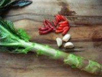 �峴ݫ�������ͼƬ����1