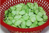 �²˳��϶�������ͼƬ����1