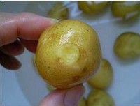 �����ɹ�С����������ͼƬ����2