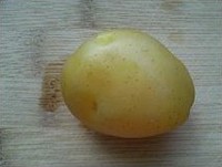 �����ɹ�С����������ͼƬ����5