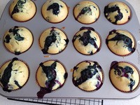 ��ݮ���ʵ��������ͼƬ����8