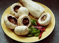 �����Ģ��������ͼƬ����1