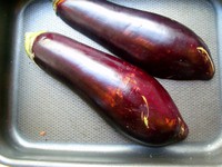 ζ�῾���ӵ�����ͼƬ����4