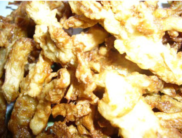 ����Ģ��������