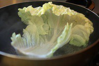 ����ײ˰�(�˱��ƴ�)������ͼƬ����6