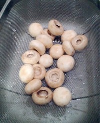 ������~֥ʿ��Ģ��������ͼƬ����1