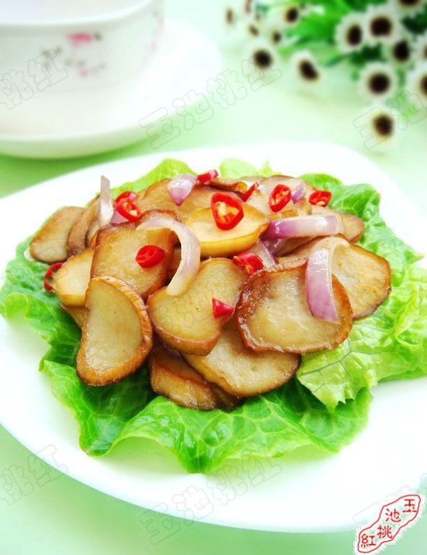 �����ӱ���������