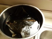 ����������������ͼƬ����1