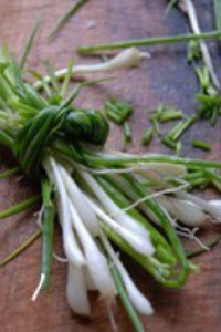 ���㽴±�����ɵ�����ͼƬ����1