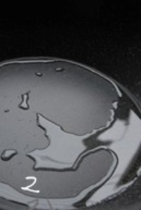 ���㽴±�����ɵ�����ͼƬ����2