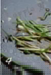 ���㽴±�����ɵ�����ͼƬ����4