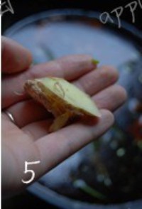 ���㽴±�����ɵ�����ͼƬ����5