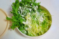 ��ɫ����������ͼƬ����2