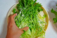 ��ɫ����������ͼƬ����3