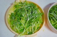 ��ɫ����������ͼƬ����4