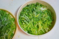 ��ɫ����������ͼƬ����5