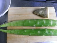 ����ݫ�ĵ�����ͼƬ����1