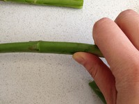 ���������ŷ⿾«�������ͼƬ����1