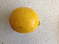 ���������ŷ⿾«�������ͼƬ����3