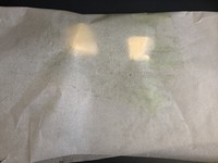 ���������ŷ⿾«�������ͼƬ����11