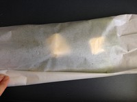 ���������ŷ⿾«�������ͼƬ����12