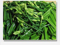 �²�̦����ɵ�����ͼƬ����1