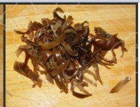 ����з�Ƶ�����ͼƬ����6