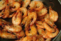 ˱ָ��ζ--ơ��Ϻ������ͼƬ����1