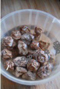 ˮ��÷����������ͼƬ����1