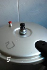 ˮ��÷����������ͼƬ����5