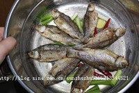 �����������ͼƬ����5