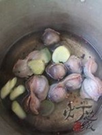 ������Ѽ�Ƶ�����ͼƬ����5