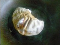 �����ǵ�����ͼƬ����4